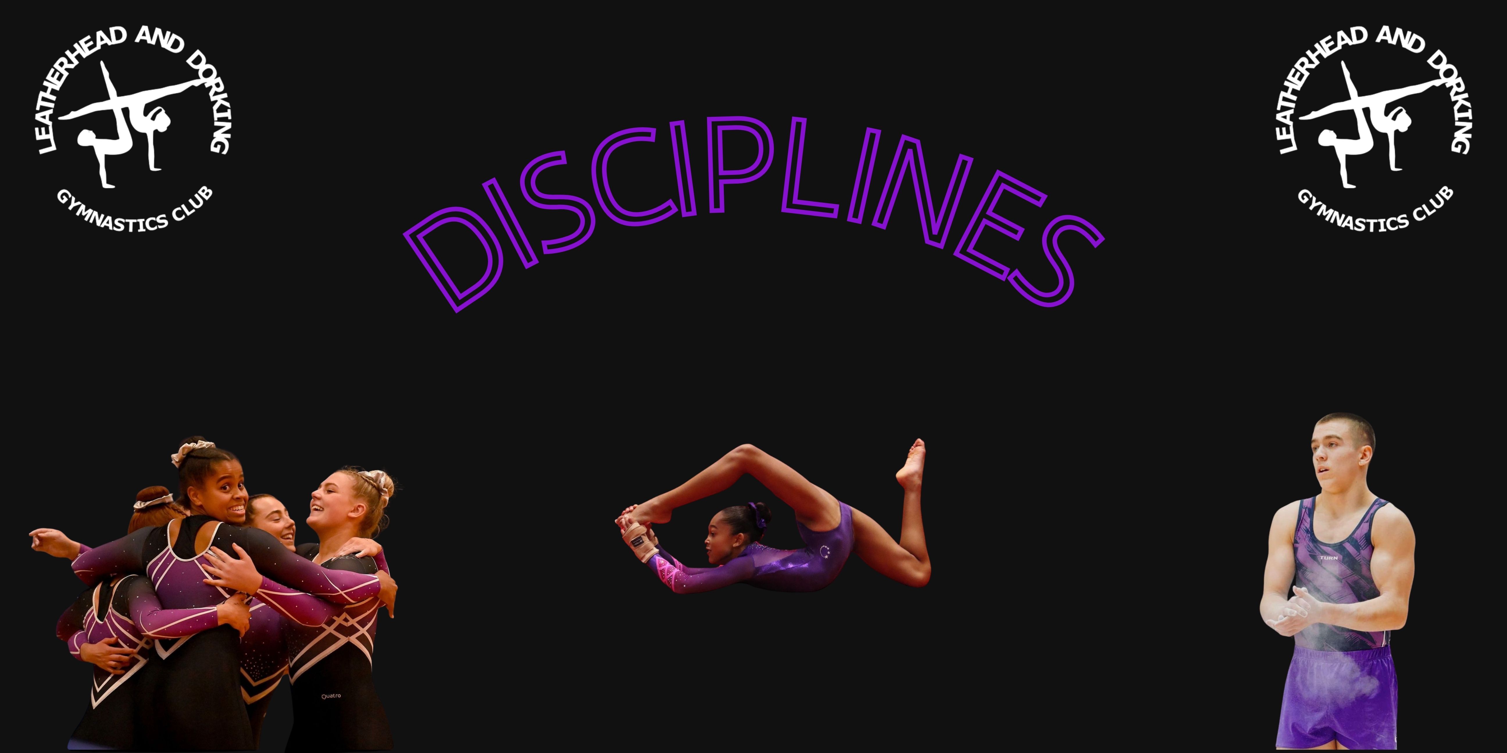 Disciplines Banner