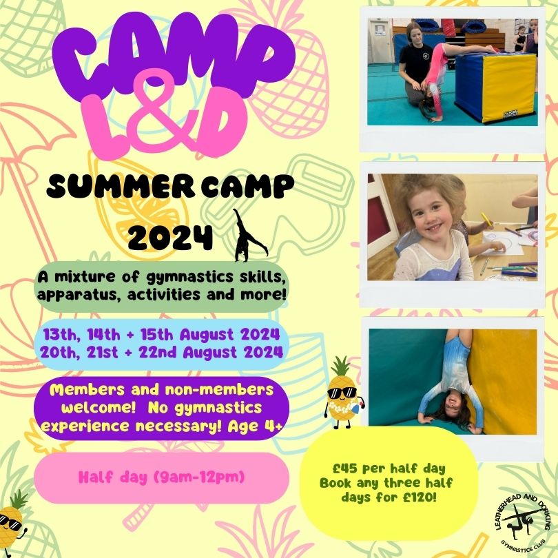 Copy of Summer camps